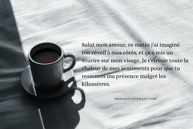 Message de Bonjour mon amour à distance pour lui